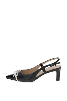 Peter Kaiser  Basutės