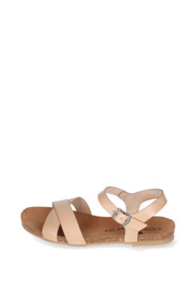 Cosmos Vasariniai bateliai