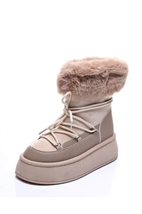 Clan Q Žieminiai aulinukai