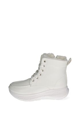 Clan Q Žieminiai aulinukai