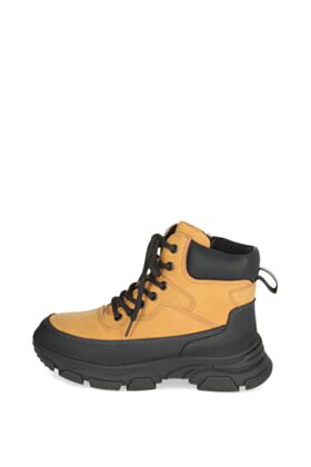 Saiwit Žieminiai aulinukai