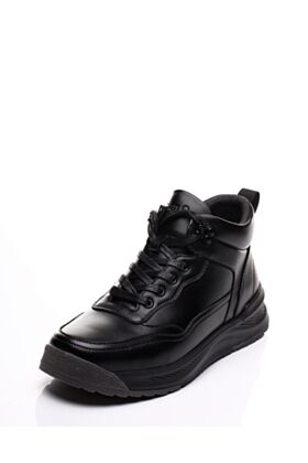 Clan Q Žieminiai aulinukai