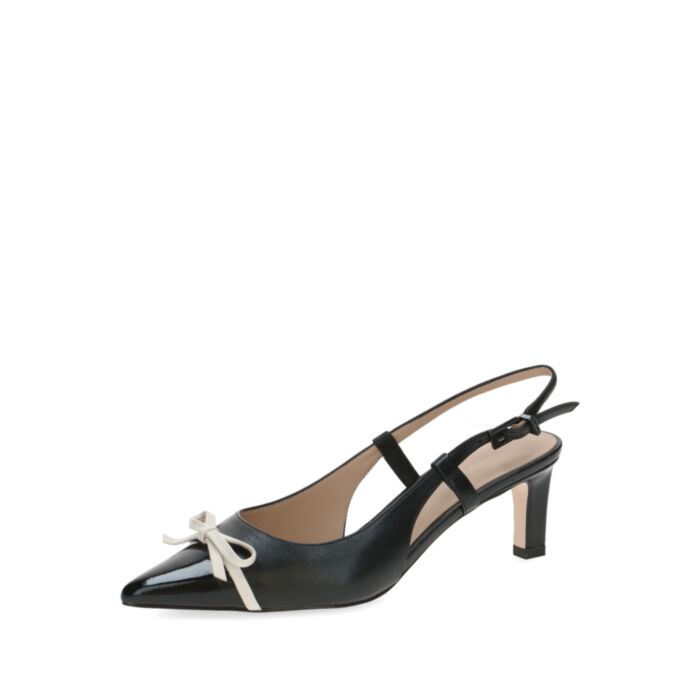 Peter Kaiser  Basutės