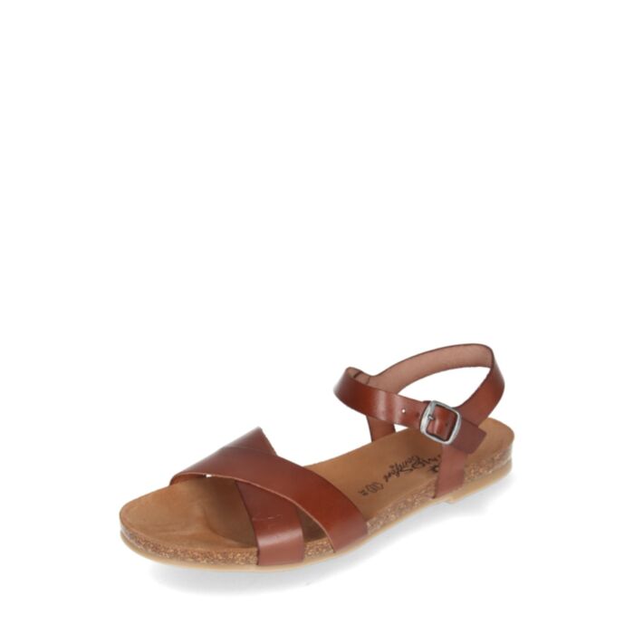 Cosmos Vasariniai bateliai