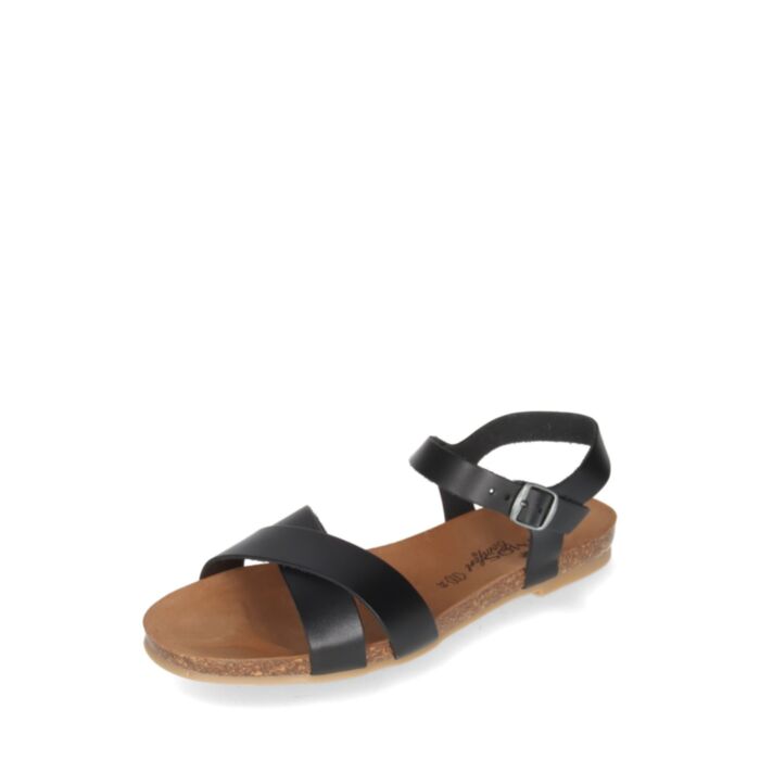 Cosmos Vasariniai bateliai