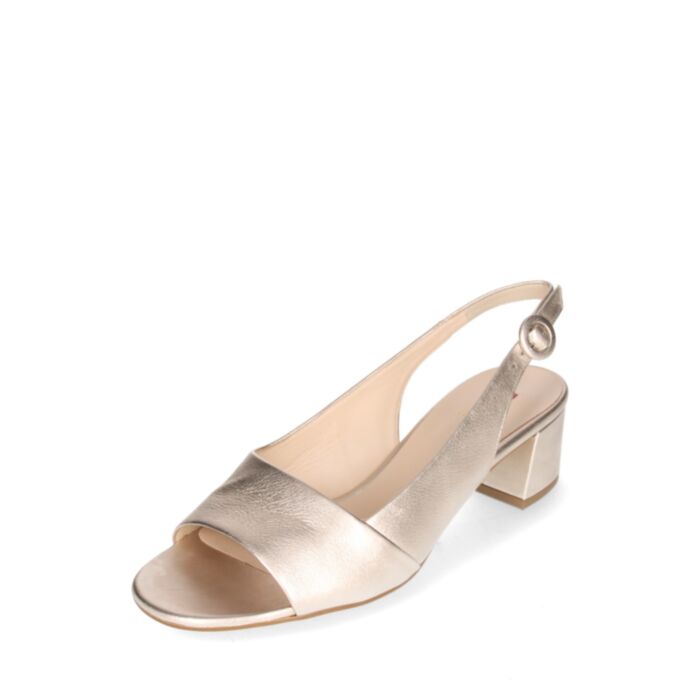 Högl Vasariniai bateliai