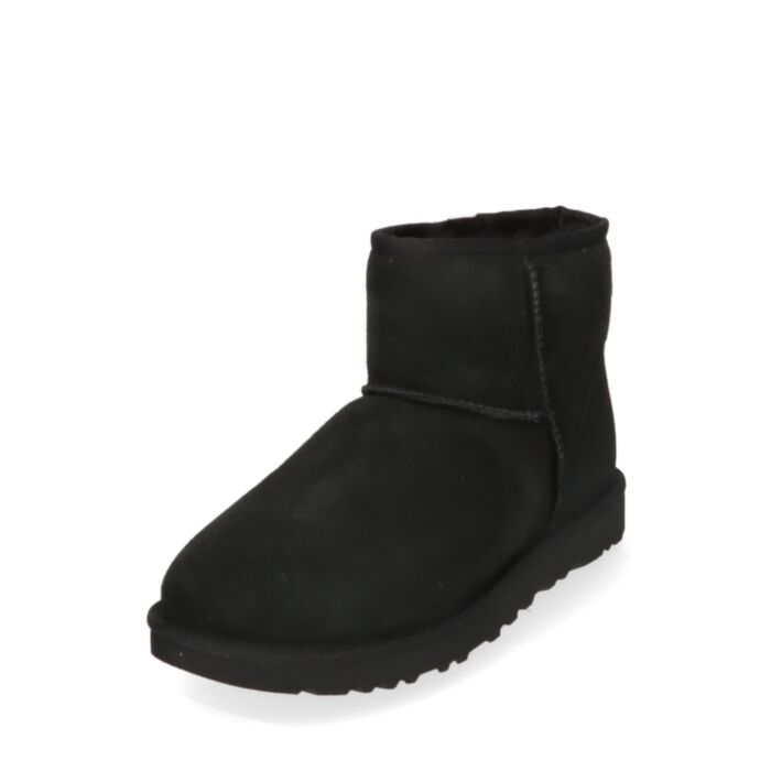 Ugg Aulinukai