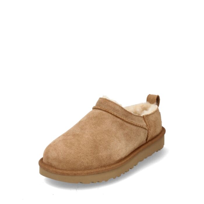 Ugg Aulinukai