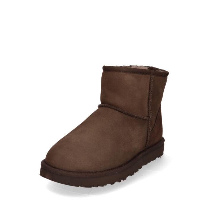 Ugg Aulinukai