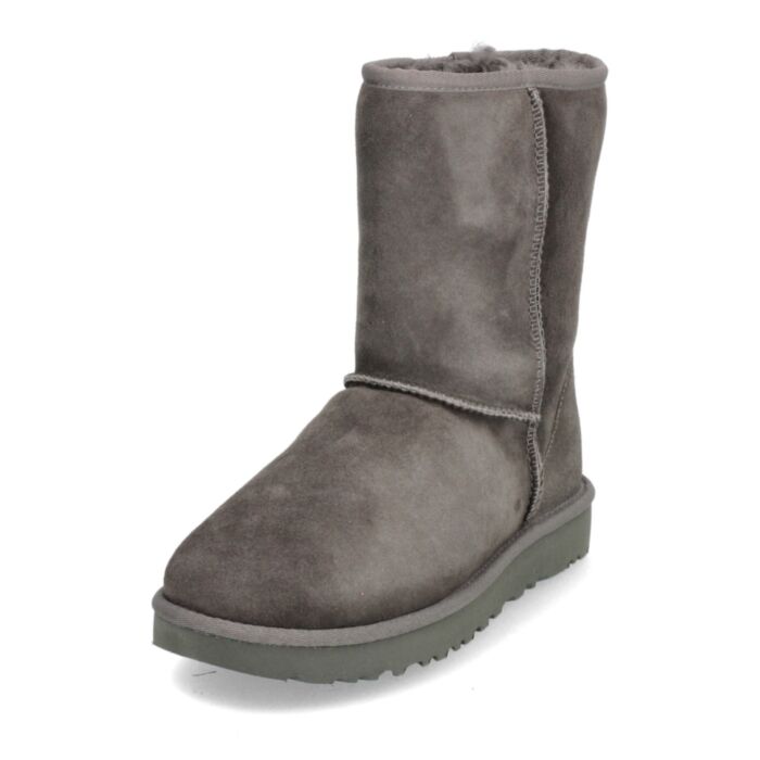 Ugg Aulinukai