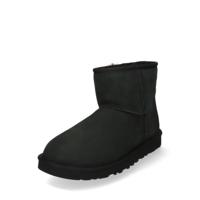 Ugg Aulinukai