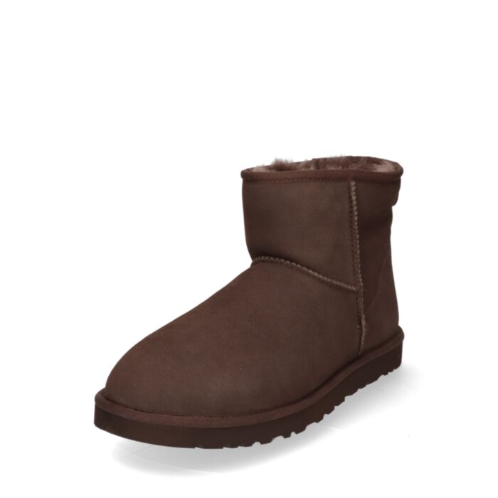 Ugg Aulinukai