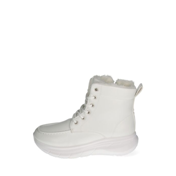 Clan Q Žieminiai aulinukai