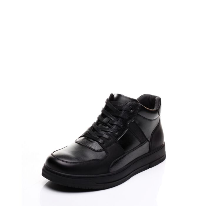 Clan Q Žieminiai aulinukai